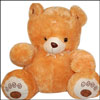 Only 4 U -  BST 9059 - Click here to View more details about this Product